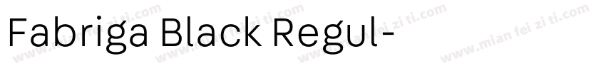 Fabriga Black Regul字体转换